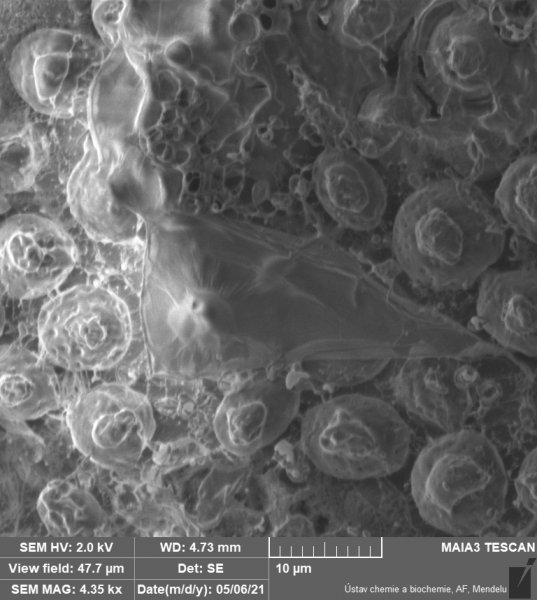 Nanotechnologie napomáhají vyšší prosperitě