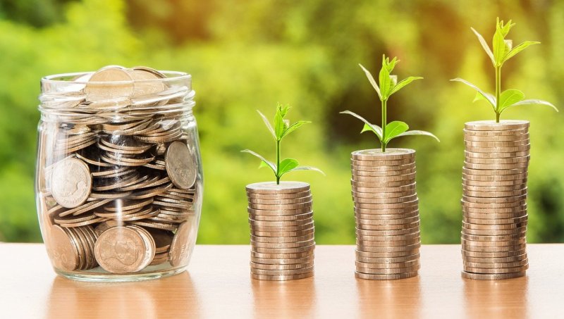 Udržitelným investicím nejvíce věří mladí. Do ekologických společností investuje 8 % lidí do 26 let