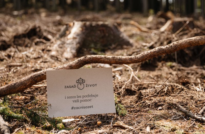 Odběrem paliv tankovacími kartami Axigonu firmy za loňský rok vykompenzují přes 1200 tun CO2
